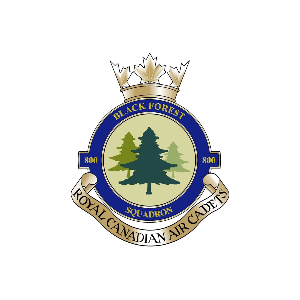 800 Blackforest Royal Canadian Air Cadet Squadron