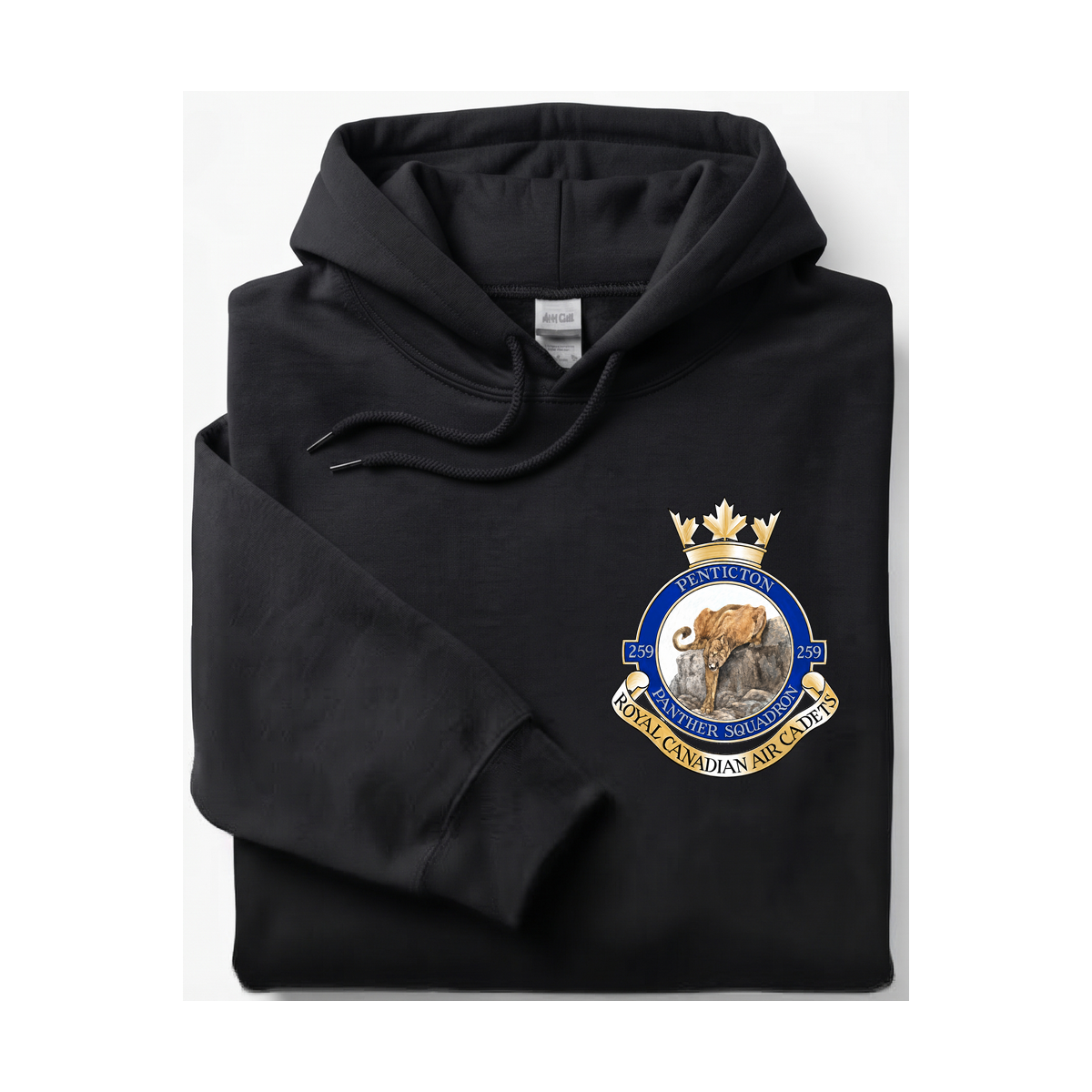 259 Penticton Royal Canadian Air Cadet Squadron Hoodie