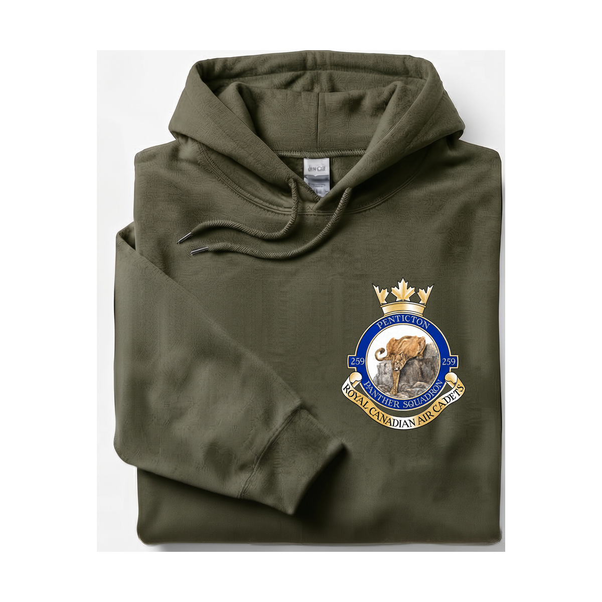 259 Penticton Royal Canadian Air Cadet Squadron Hoodie