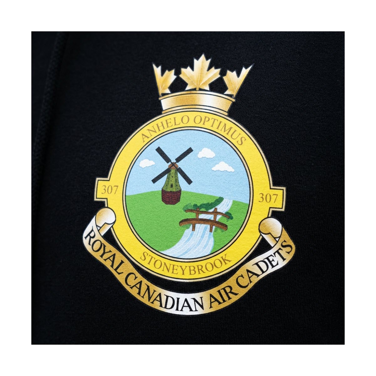 307 Stoneybrook Royal Canadian Air Cadet Squadron Hoodie