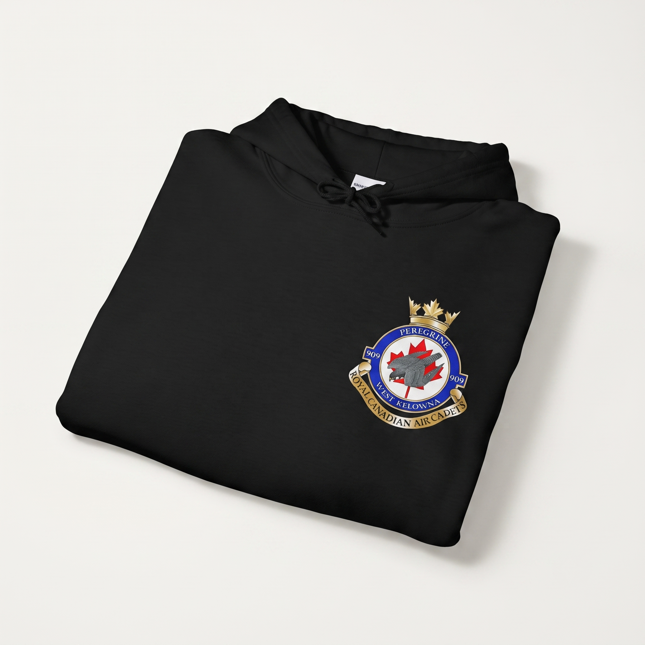 909 Peregrine Royal Canadian Air Cadet Squadron